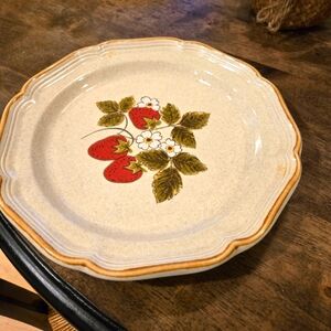 Mikasa Strawberry Festival by Mikasa, Stoneware Dinner Plate-Single Plate